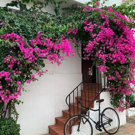 Renovated Andalusian House 度假居 马尔韦利亚